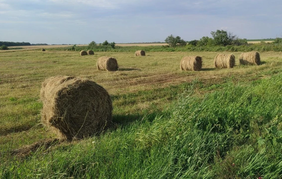 В Херсонской области обещают настоящий зной.