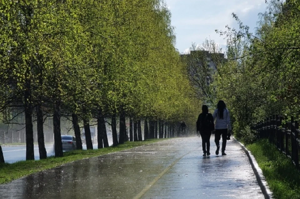 Парк культуры и отдыха собрались благоустроить в Беловодске