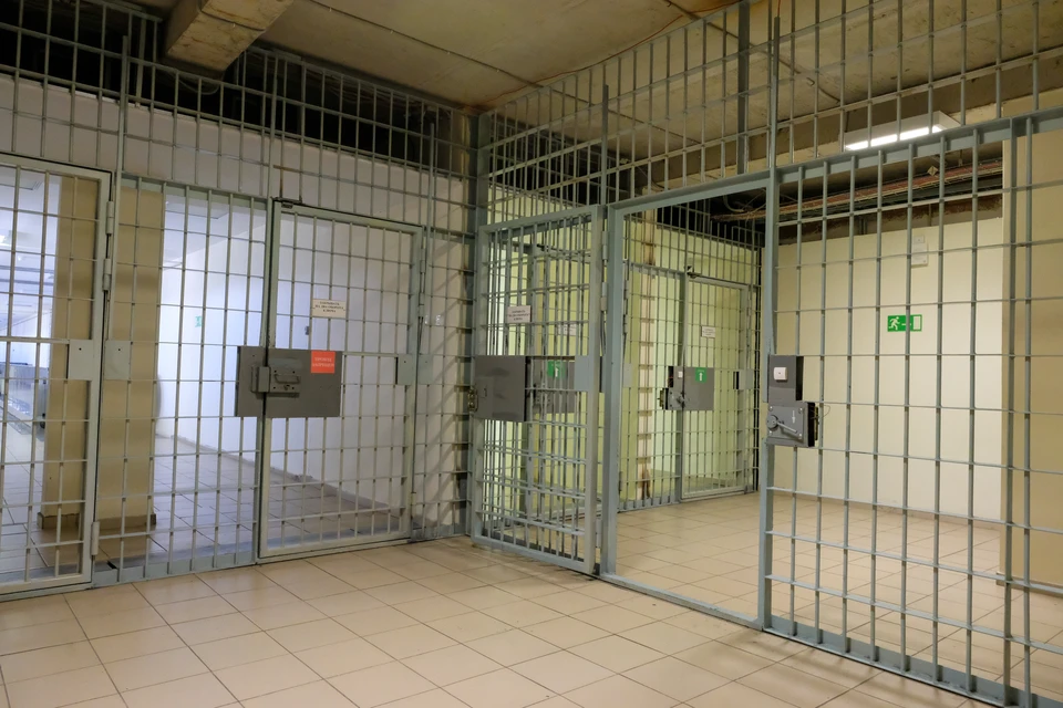 Иностранца арестовали на 40 дней в Петербурге из-за обвинений в педофилии.