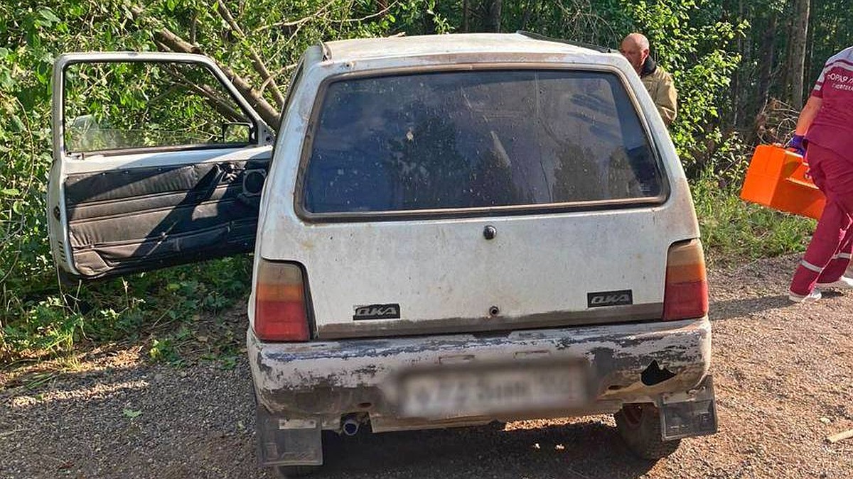 В Башкирии водитель «Оки» скрылся с места ДТП после того, как погибла его  пассажирка - KP.RU