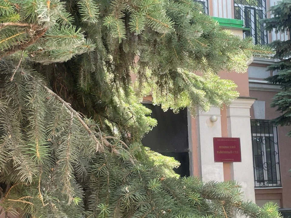 В ульяновском суде заслушали показания еще одного свидетеля по делу депутата городской думы Антона Антипова
