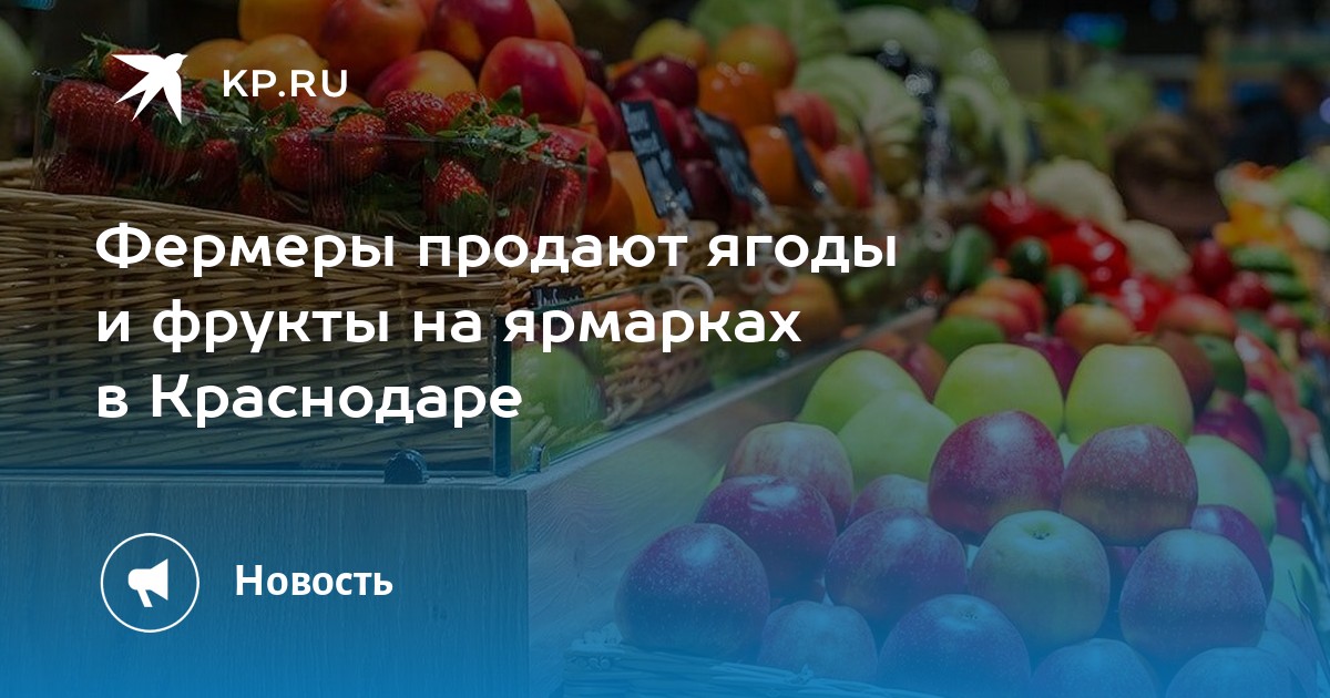 Фермеры продали 1364. День фрукты день овощи. Сладости и фрукты на ярмарках. Ярмарка выходного дня в Краснодаре. Добрый день с ягодами и фруктами.