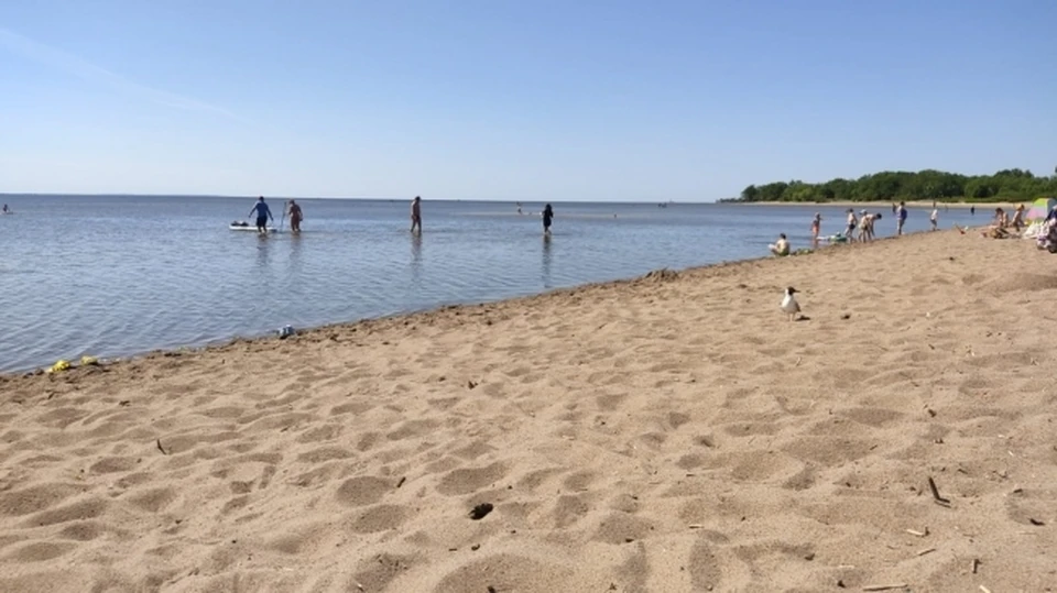 В ростовском водоеме утонул мужчина