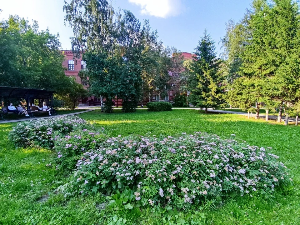 Середина июля в Томске будет более жаркой, чем обычно. Фото: Анна Ковалева