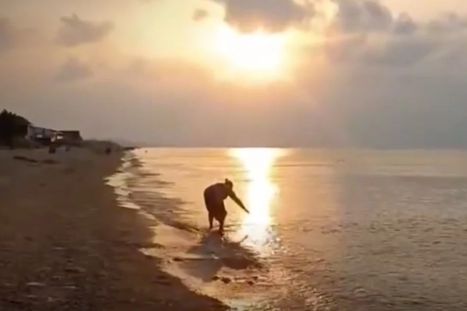 Лов креветки на Азовском море. Фото: скриншот видео