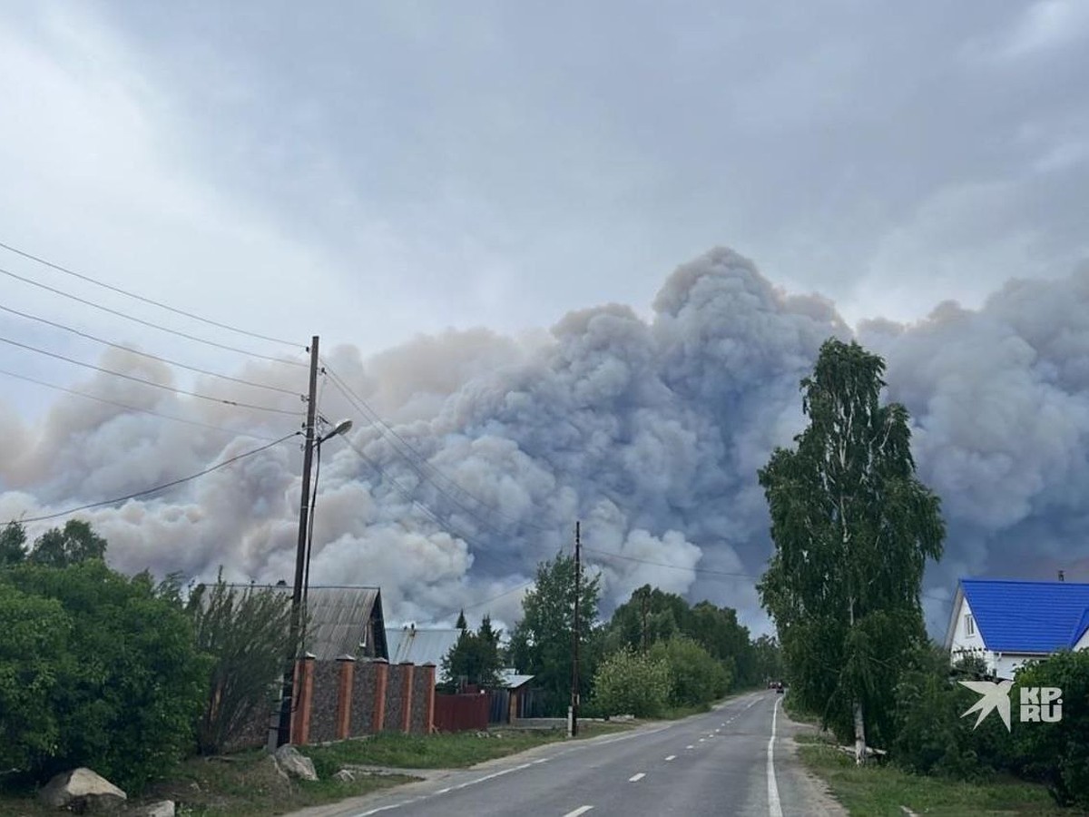 В селе под Екатеринбургом сгорели десятки домов, жителей эвакуировали: что  известно о жутком пожаре - KP.RU