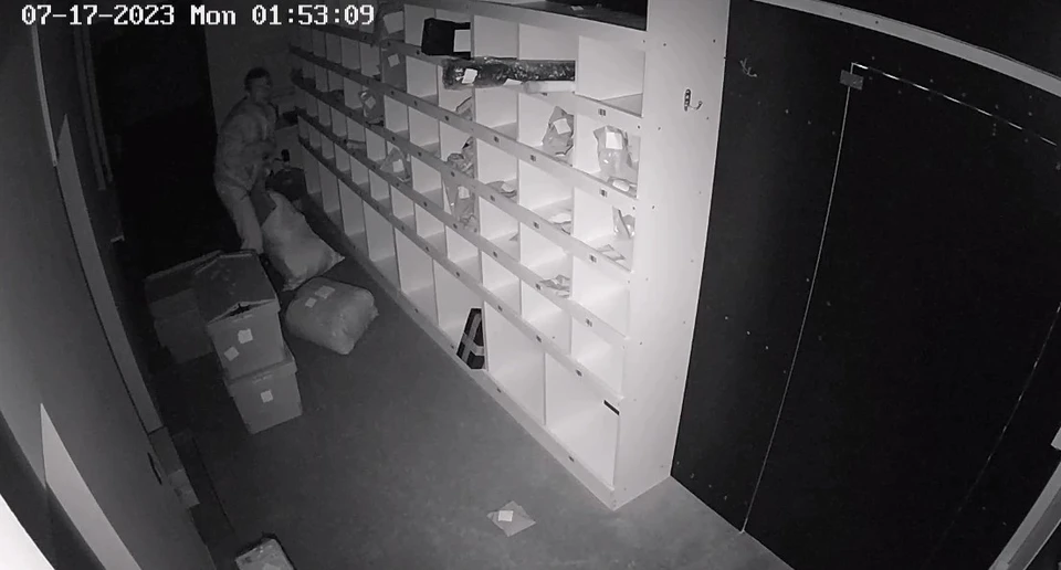Фото: скриншот с видео камеры видеонаблюдения