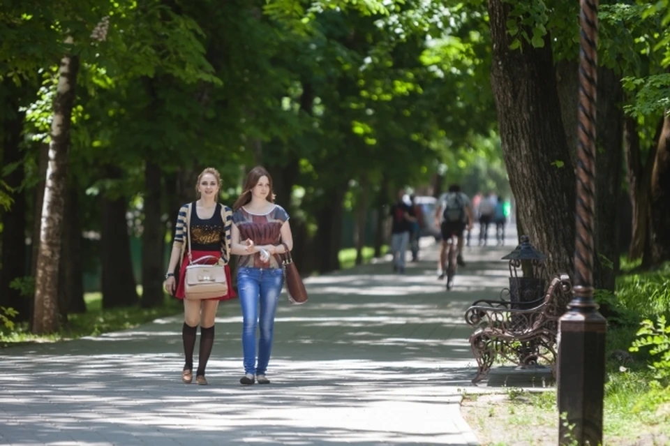 Пространство перед входом в парк будет реорганизовано.