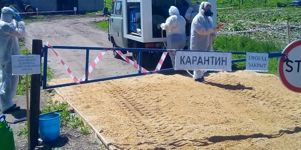 Фото: пресс-служба администрации Костромской области