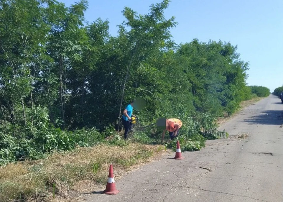 Вырубка заролей позволяет улучшить обзор для водителей. Фото: пресс-служба Минитерства транспорта Херонской области.