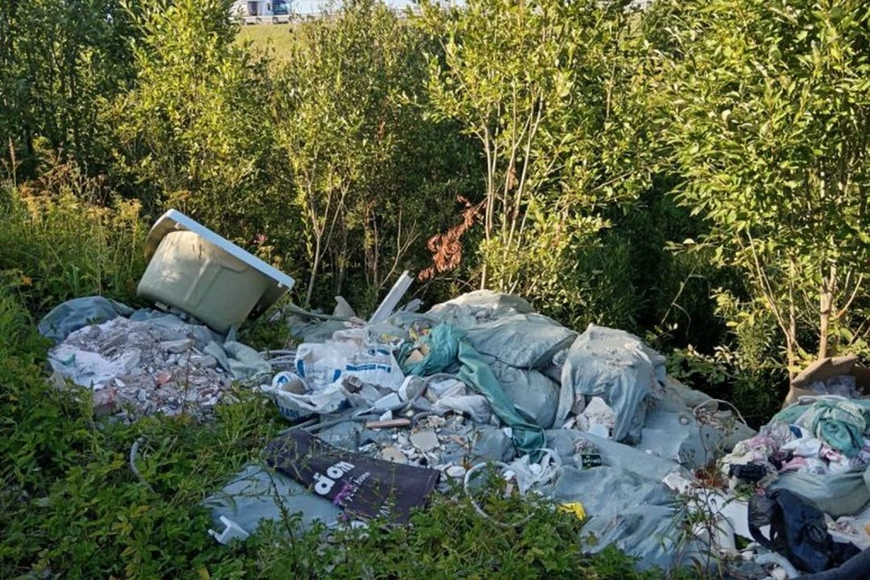 Огромная свалка образовалась у «Леруа Мерлен» в Петербурге. Фото: Денис Аксенов