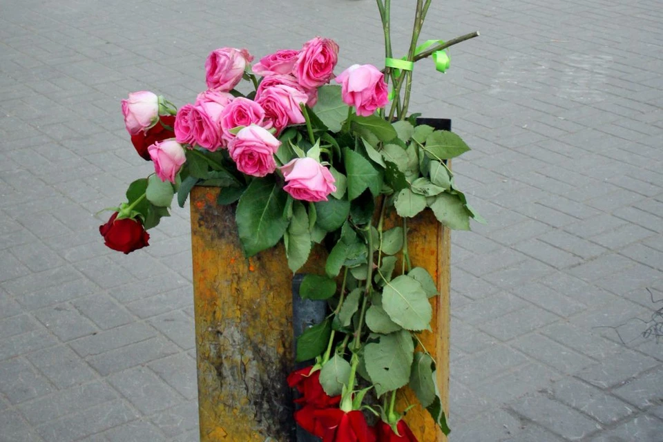 Психолог объяснила новосибирцам, как правильно сообщить партнеру о ...