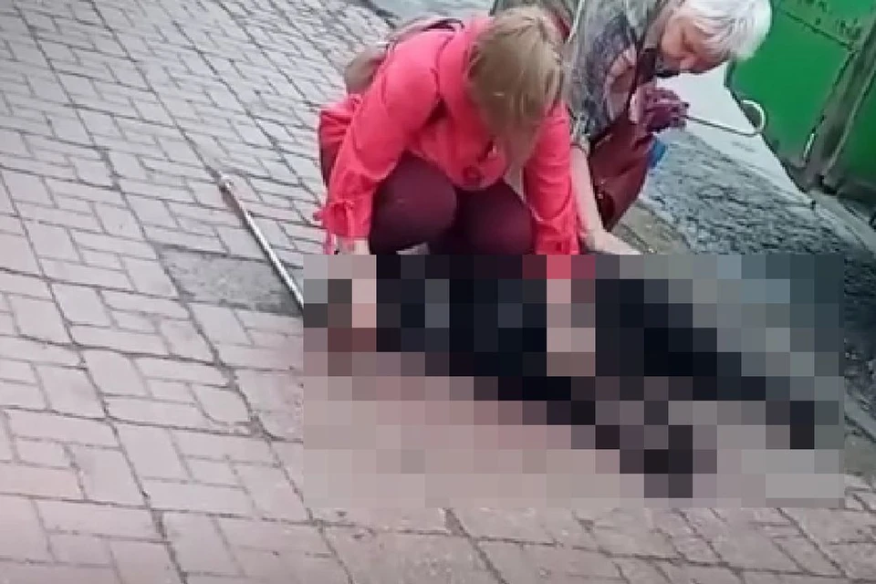 Собаку убило током от троллейбуса. Фото: стоп-кадр видео Инцидент Новосибирск.