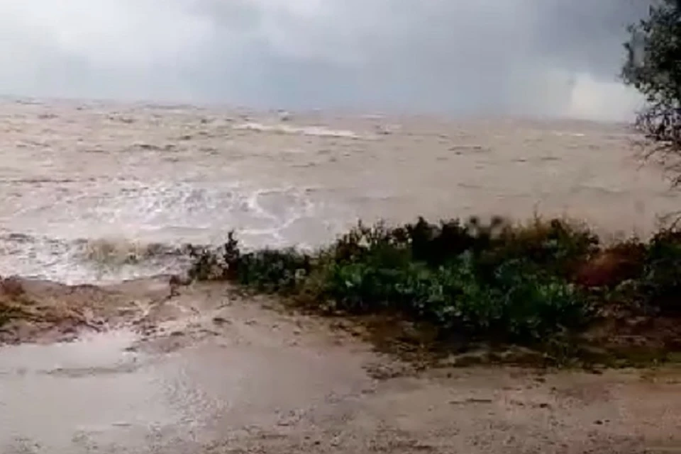 Фото: скриншот видео