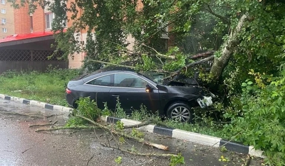 В Туле пьяный водитель автомобиля Renault уходил от погони и врезался в дерево