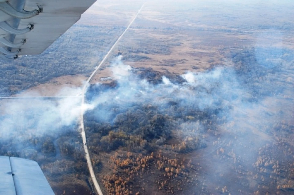 Число лесных пожаров сократилось в Хабаровском крае