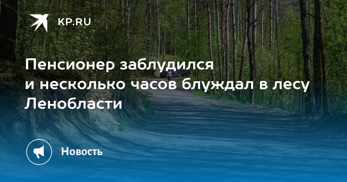 Пенсионер заблудился и несколько часов блуждал в лесу Ленобласти - KP.RU