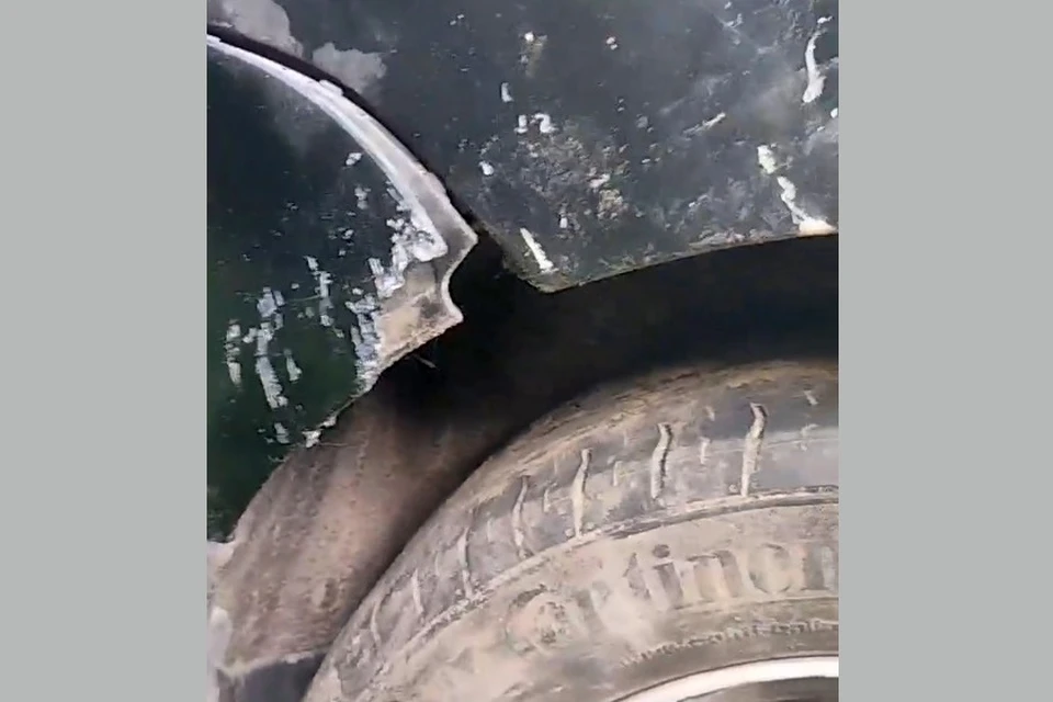 Рязанцы продолжают жаловаться на погрызенные собаками автомобили.
