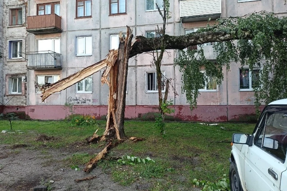 Фото: пресс-служба Брянской городской администрации.