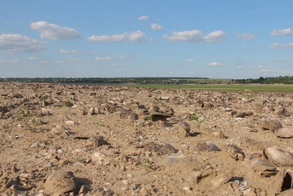 Дно Каховского водохранилища сейчас оголено. Фото: Сергей ВОРОБЬЕВ.