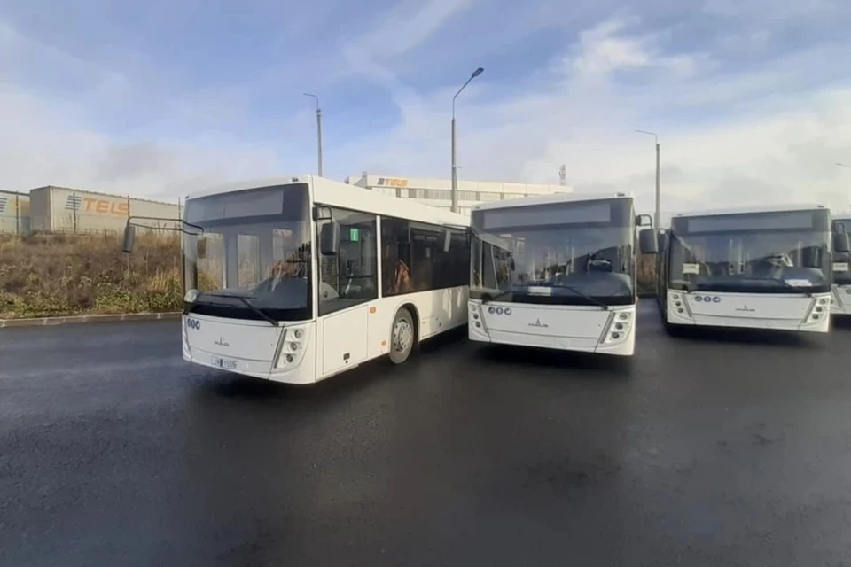 МАЗ занял 5 место по продажам новых автобусов в РФ. Снимок носит иллюстративный характер. Фото: maz.by