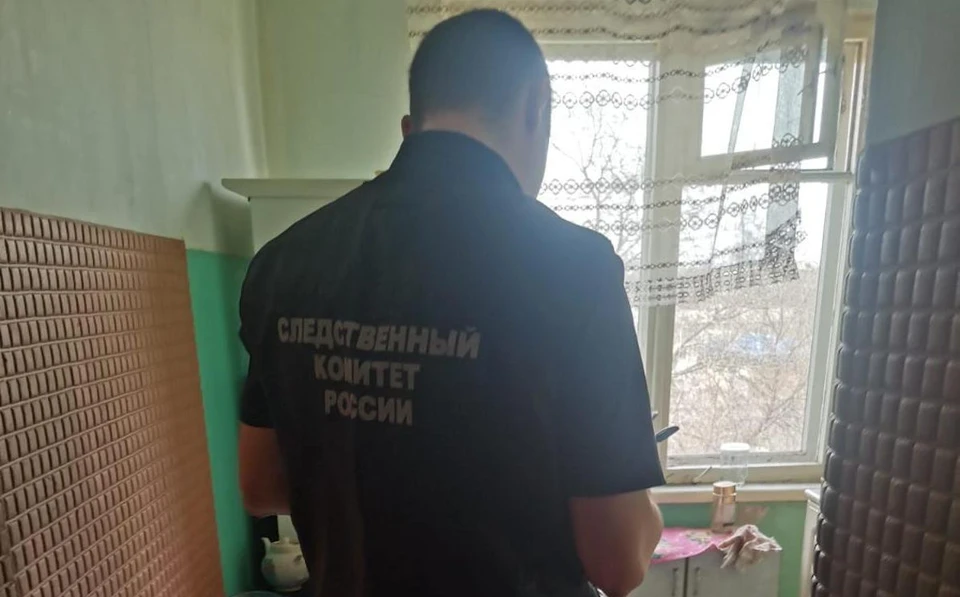 Злоумышленнику грозит до десяти лет лишения свободы с последующим ограничением свободы