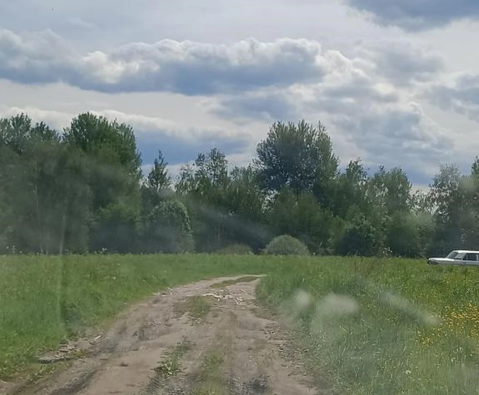 Фото: прокуратура Владимирской области