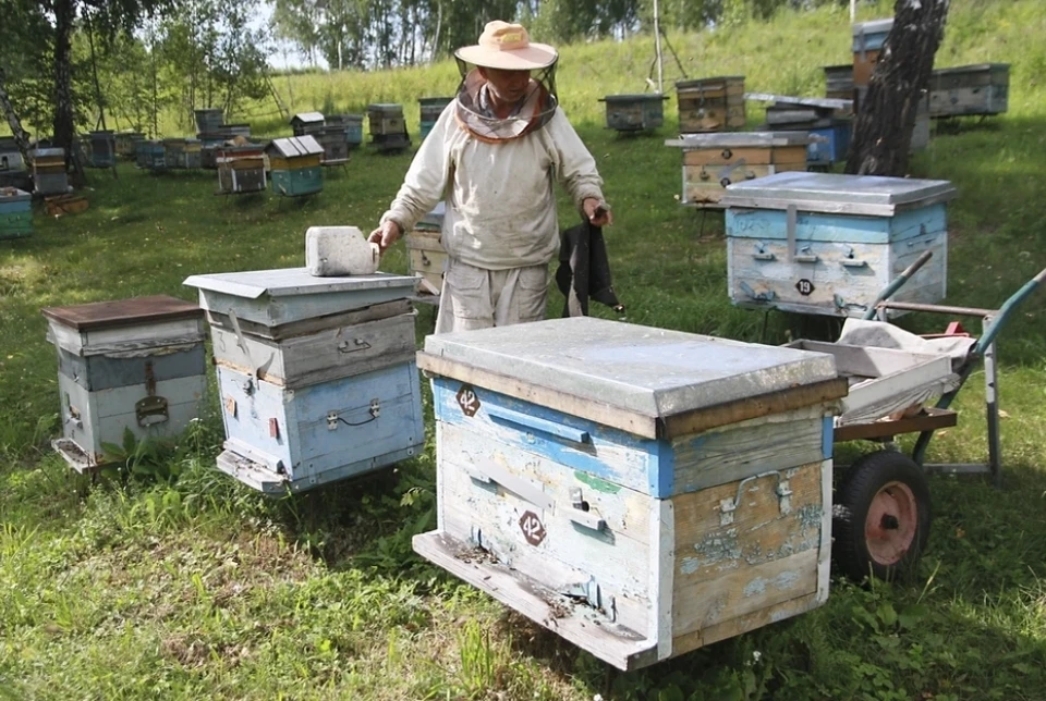 Главные участники мероприятия - пчеловоды, мастера по переработке меда и продуктов пчеловодства, а также ремесленники