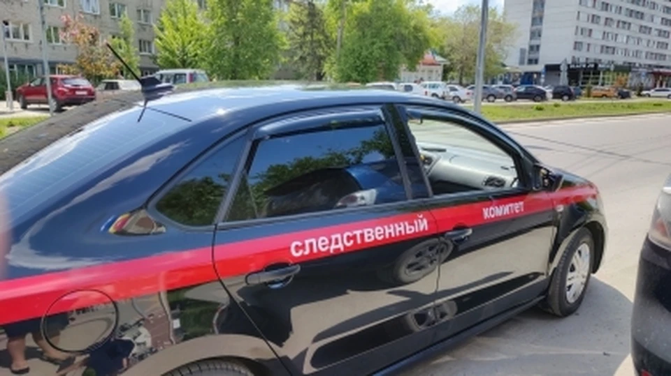 Возбуждено дело по ст. 111 УК РФ (умышленное причинение тяжкого вреда здоровью, повлекшего по неосторожности смерть потерпевшего)