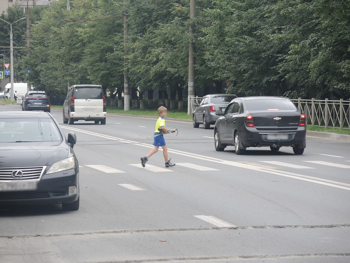 Во Владимире на дорогах у восьми школ положат «лежачих полицейских» - KP.RU