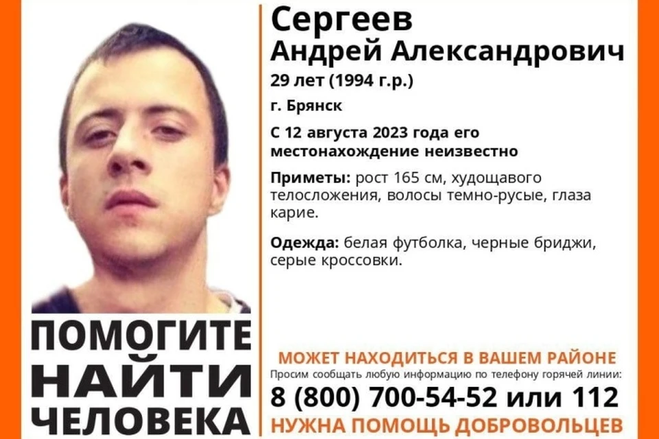 Фото: поисковый отряд "Лиза Алерт".