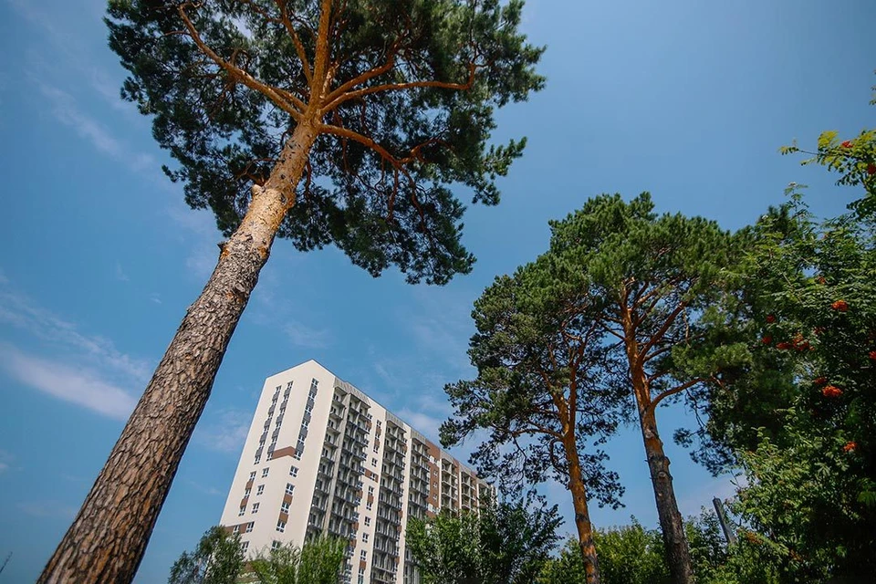 Квартал «Сосновый бор» расположен в одном из самых живописных мест поселка Кудряшовский. Первый дом сдается уже в конце 2023 года. Фото: Строительная компания «Акация»