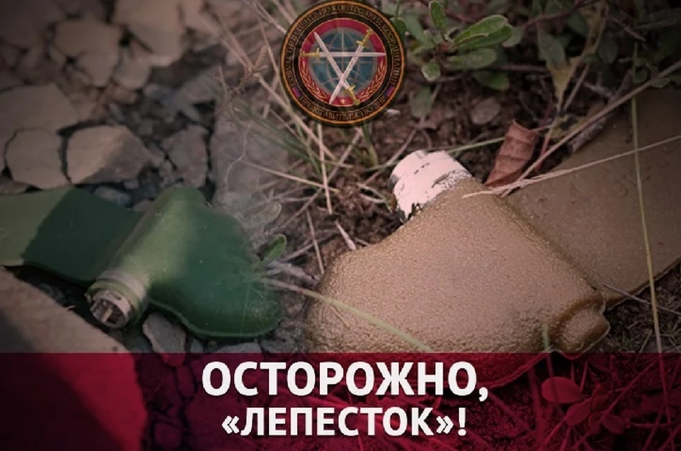 При обнаружении мин и неразорвавшихся снарядов необходимо вызвать МЧС по номеру 101 (архивное фото). Фото: СЦКК ДНР