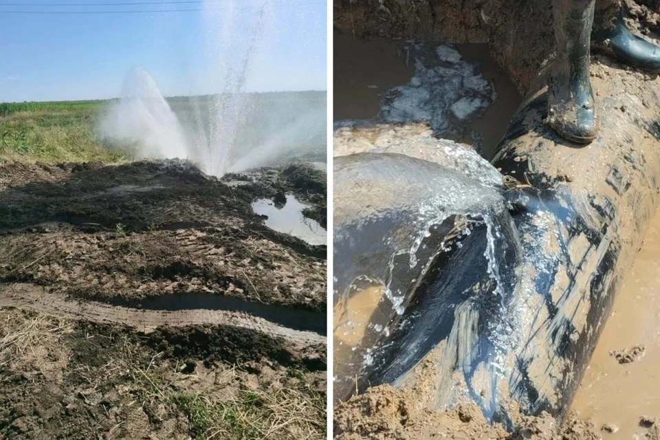 Власти Ростовской области прокомментировали ситуацию на Зерноградском водоводе. Фото: телеграм-канал Ирины Полищук