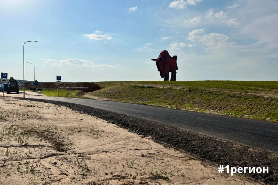 Фото зубра на трассе минск брест