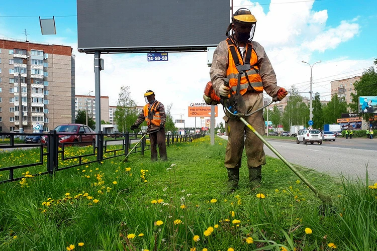 Покос травы в Ижевске: можно ли не убирать ее по желанию жителей и почему она может быть опасна?