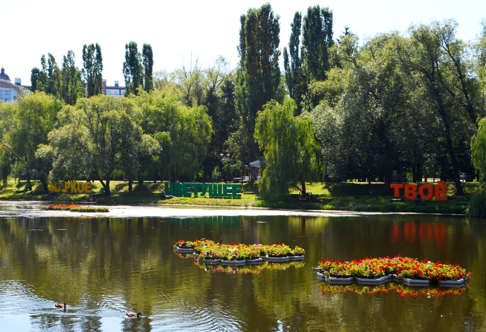 «Ночь кино» в Белгороде пройдет на трех площадках.