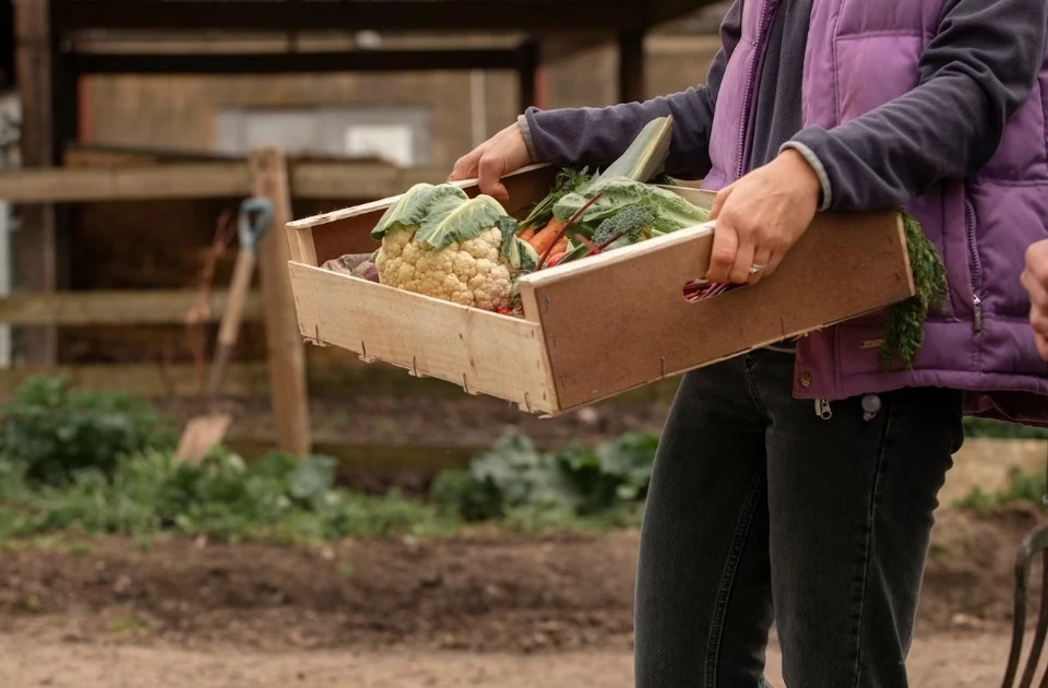 Фото: ru.freepik.com