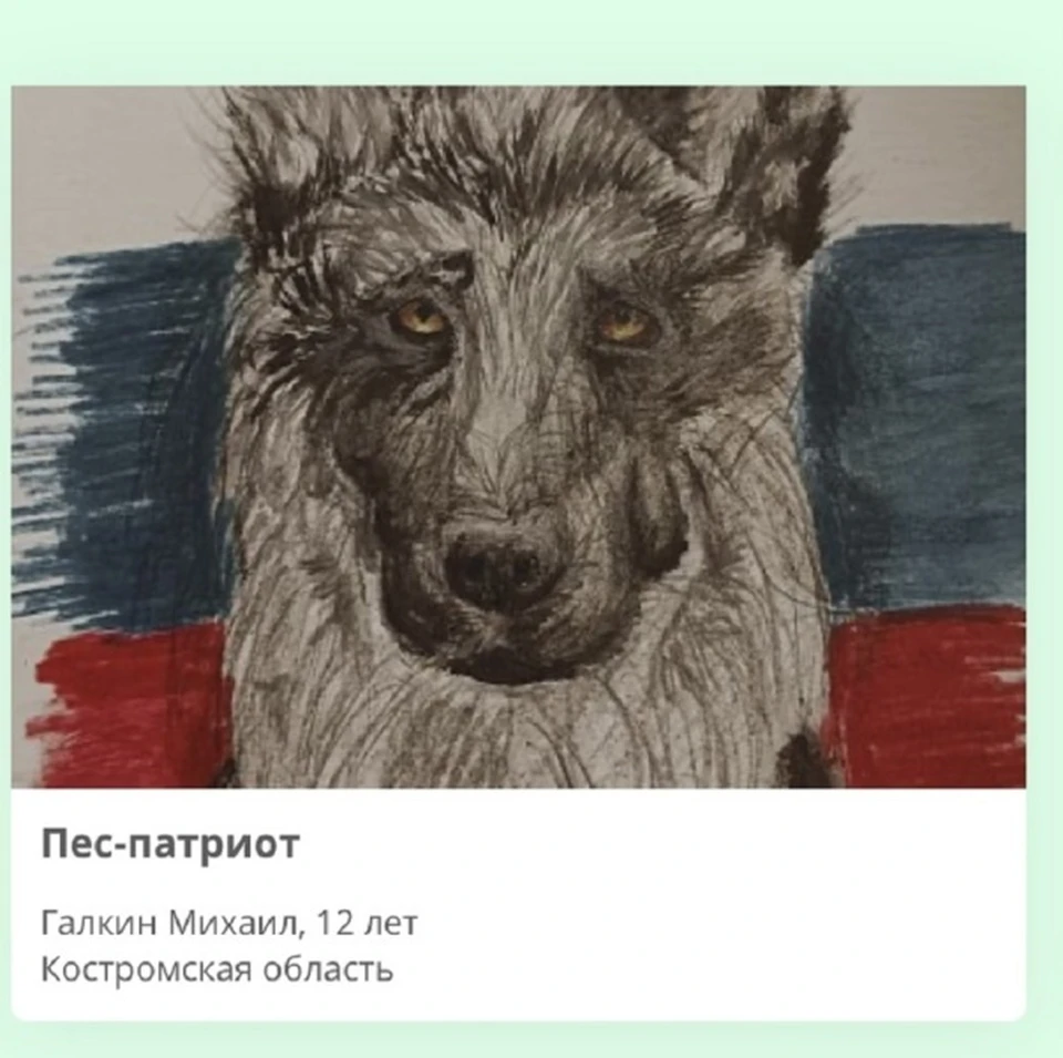 Костромской школьник нарисовал портрет фронтовой собаки для Музея Победы. Фото: пресс-служба Музея Победы