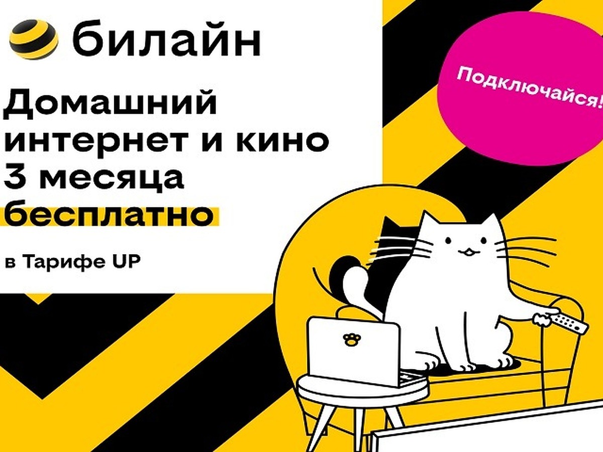 Базя, Пинг и Пуш сделают первые 3 месяца домашнего интернета с кинотеатром  и цифровым ТВ бесплатными - KP.RU