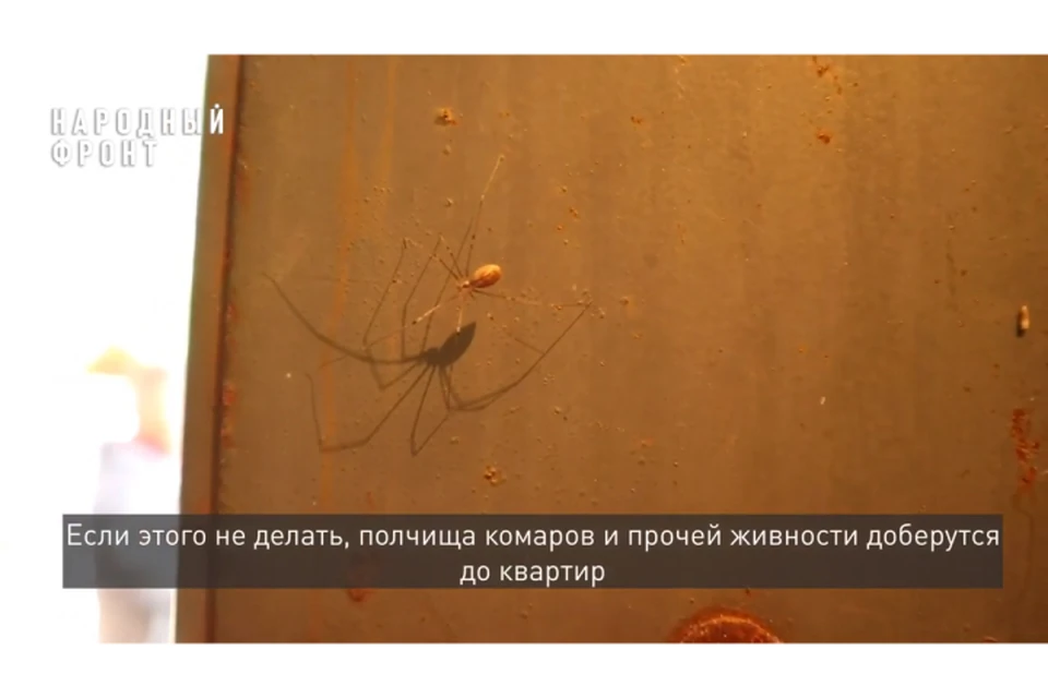 Такое соседство людям не нравится. Фото: Народный фронт