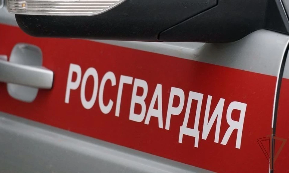 Росгвардейцы задержали двух дебошир в баре на проспекте Ленина в Туле