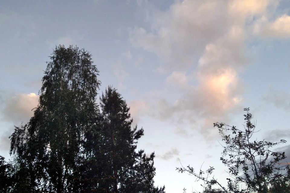 В последние дни августа -днем в основном будет умеренно тепло, но один день удивит.