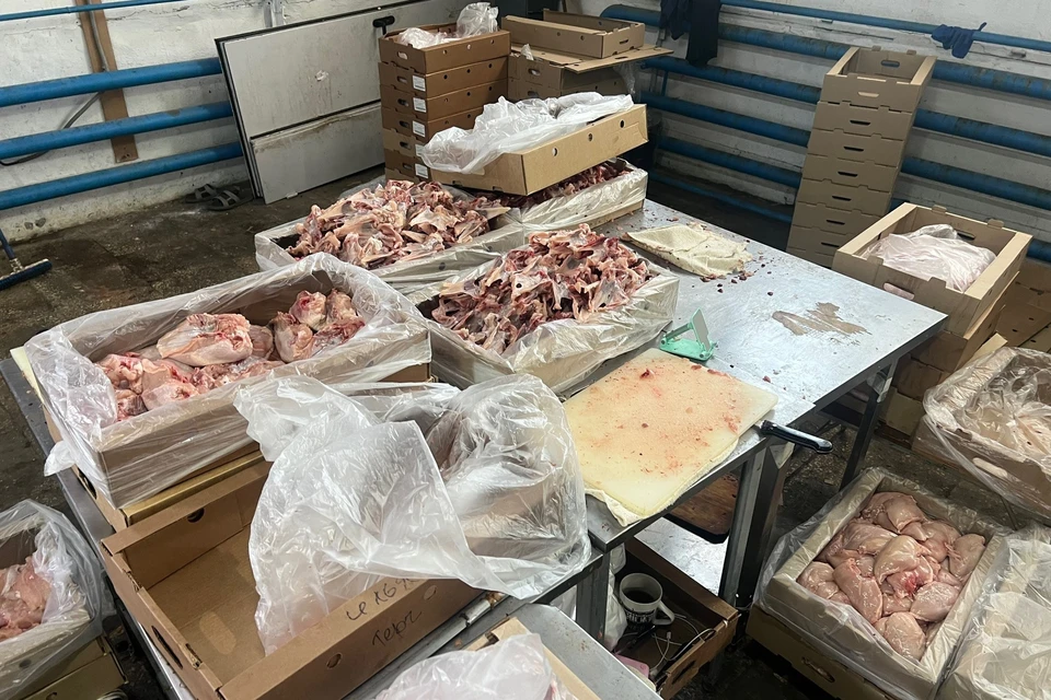 Предприниматели покупали курицу дешевле, с истёкшим сроком годности. Фото: Дмитрий Чукреев