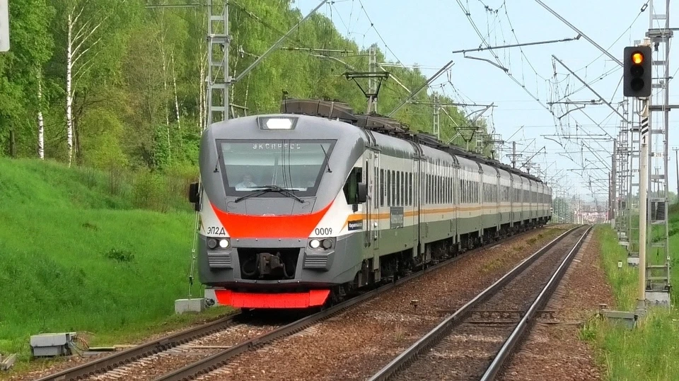 В полосе отвода железнодорожники кронируют деревья, проводят санитарную вырубку, подстригают кустарник, окашивают траву