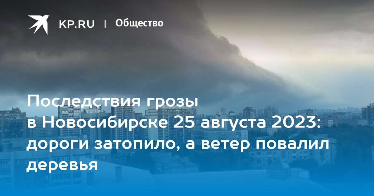 Осаго 54 в новосибирске