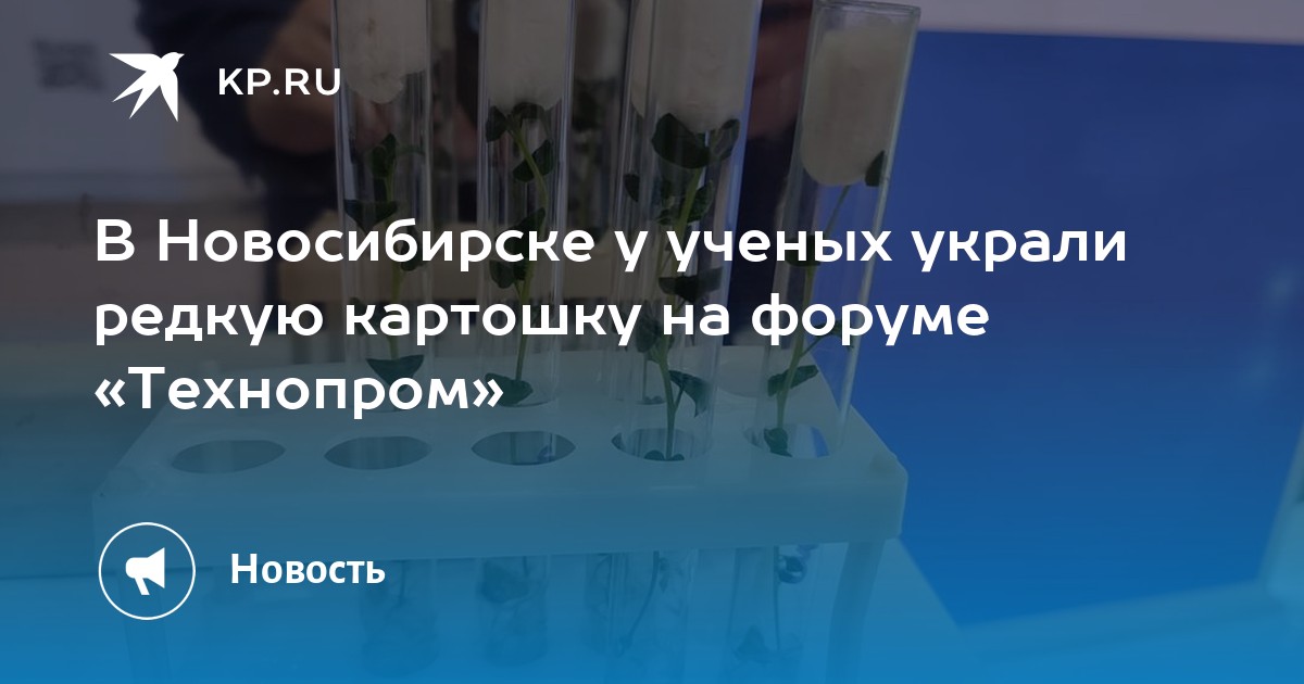 Осаго 54 в новосибирске