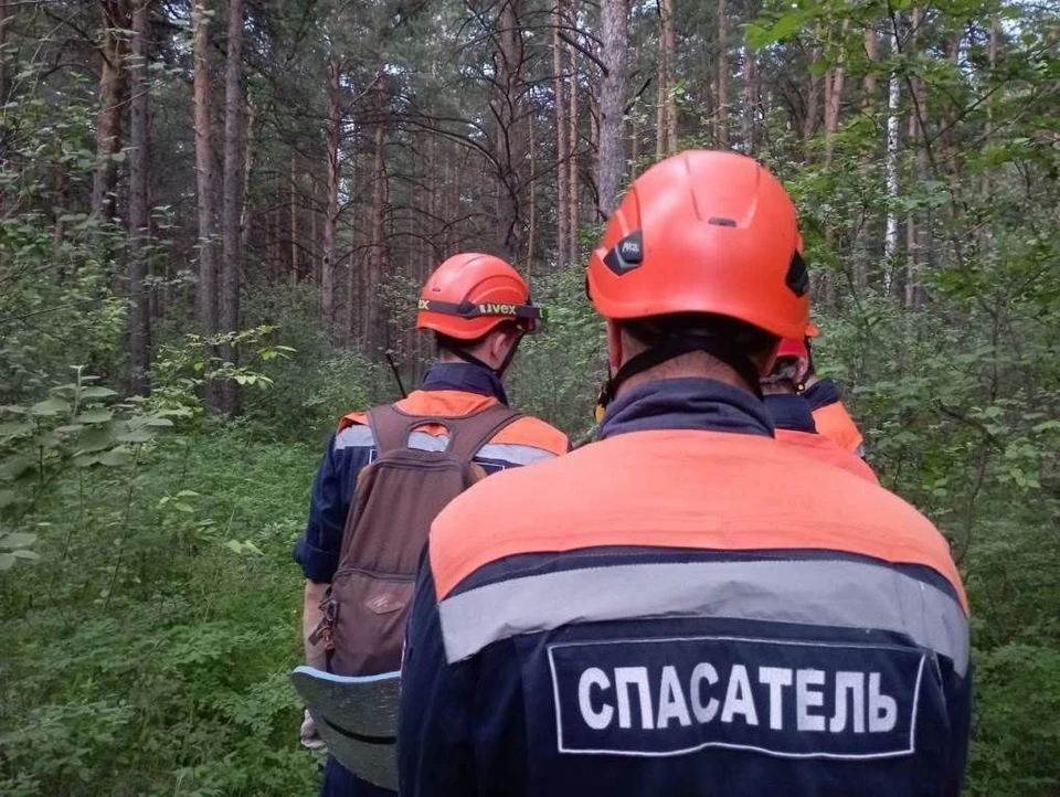 Фото: служба спасения Красноярского края