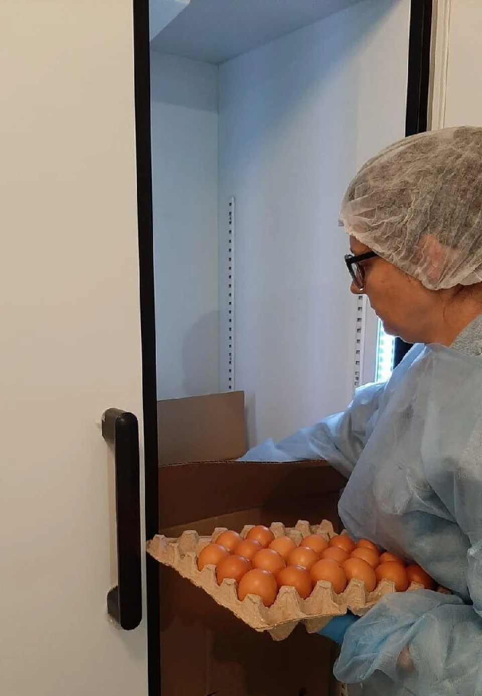Специалисты ульяновской ветслужбы проводят в регионе профилактические мероприятия от птичьего гриппа. ФОТО: Агентство по ветеринарии УО