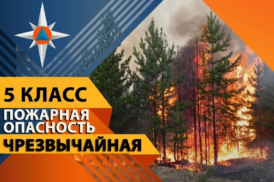 В ближайшие дни в регионе сохранится высокая пожароопасность. Фото: МЧС ДНР